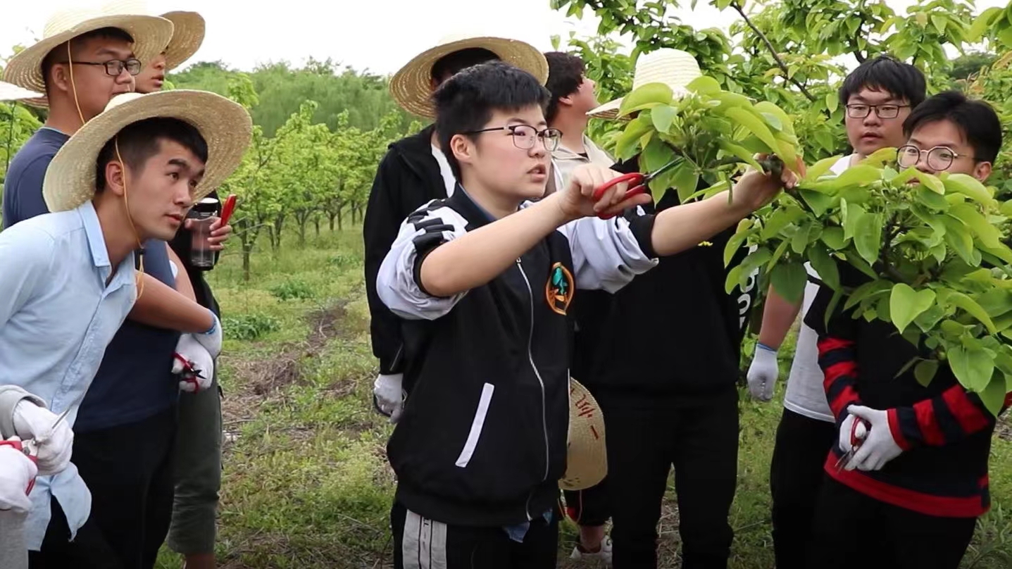 华梦丽（中）与大学生们一起深入田间做研究