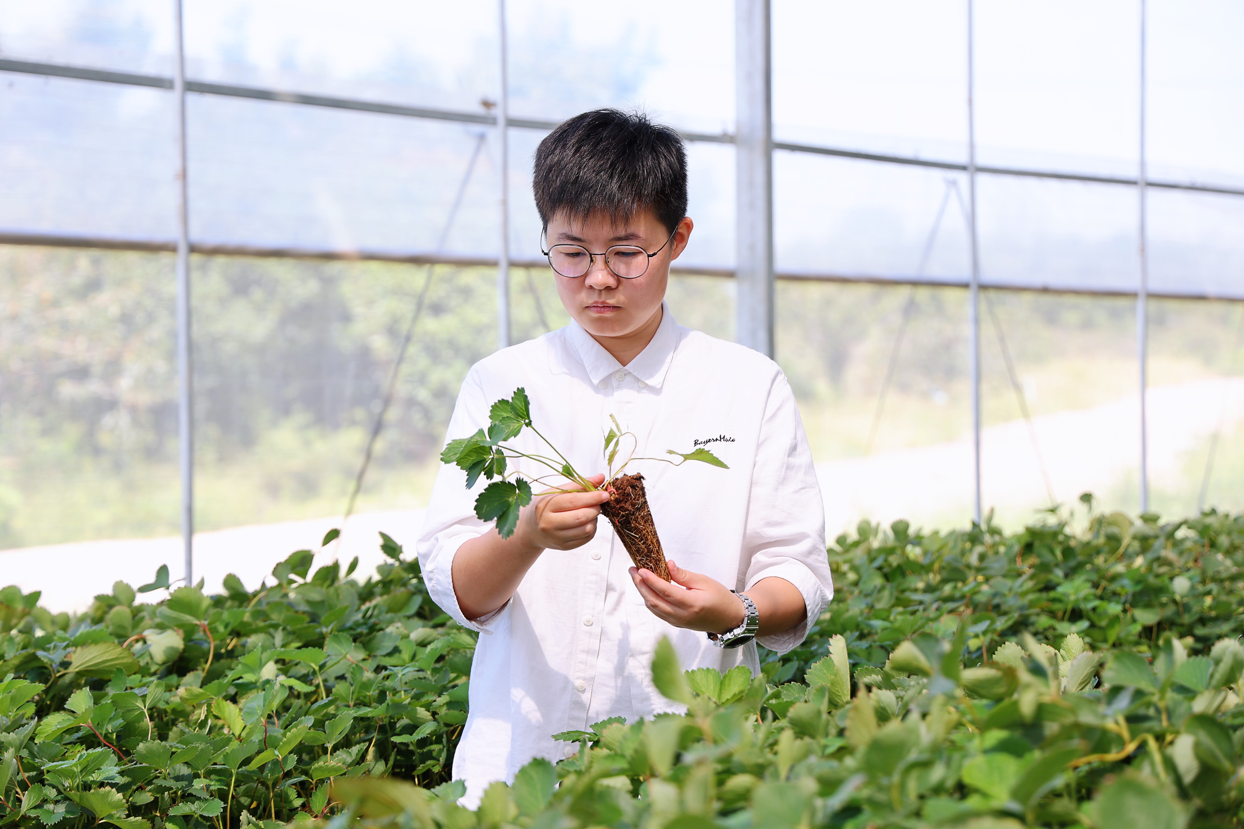 华梦丽每日在田间地头，研究如何让作物更好生长，让果实口感更好