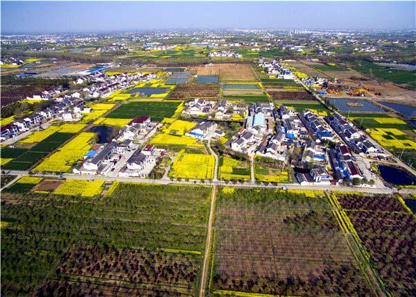 长塘村。图自中国江苏网 长塘村。图自中国江苏网