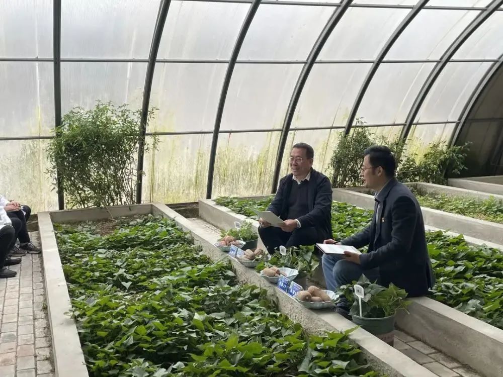 李强(左)。图自徐州广电 李强(左)。图自徐州广电