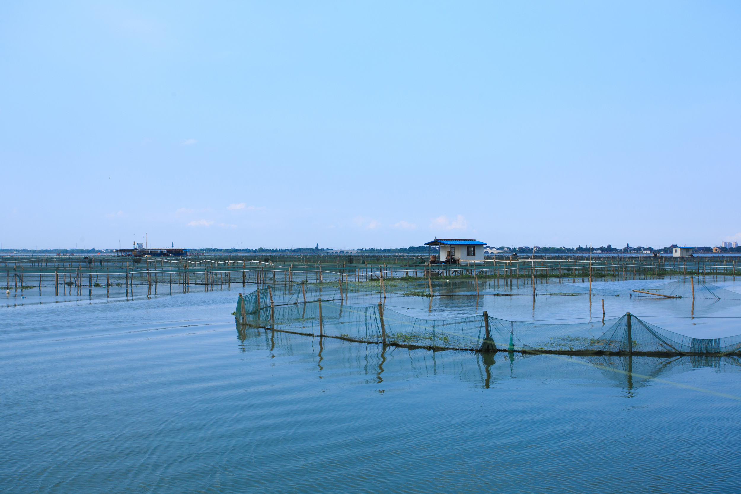 阳澄湖景区图片图片