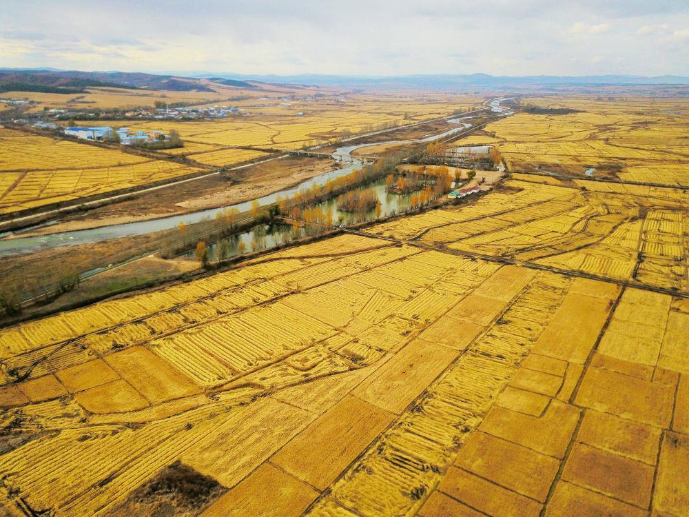 �������ӱ��ݹⶫ������յ���