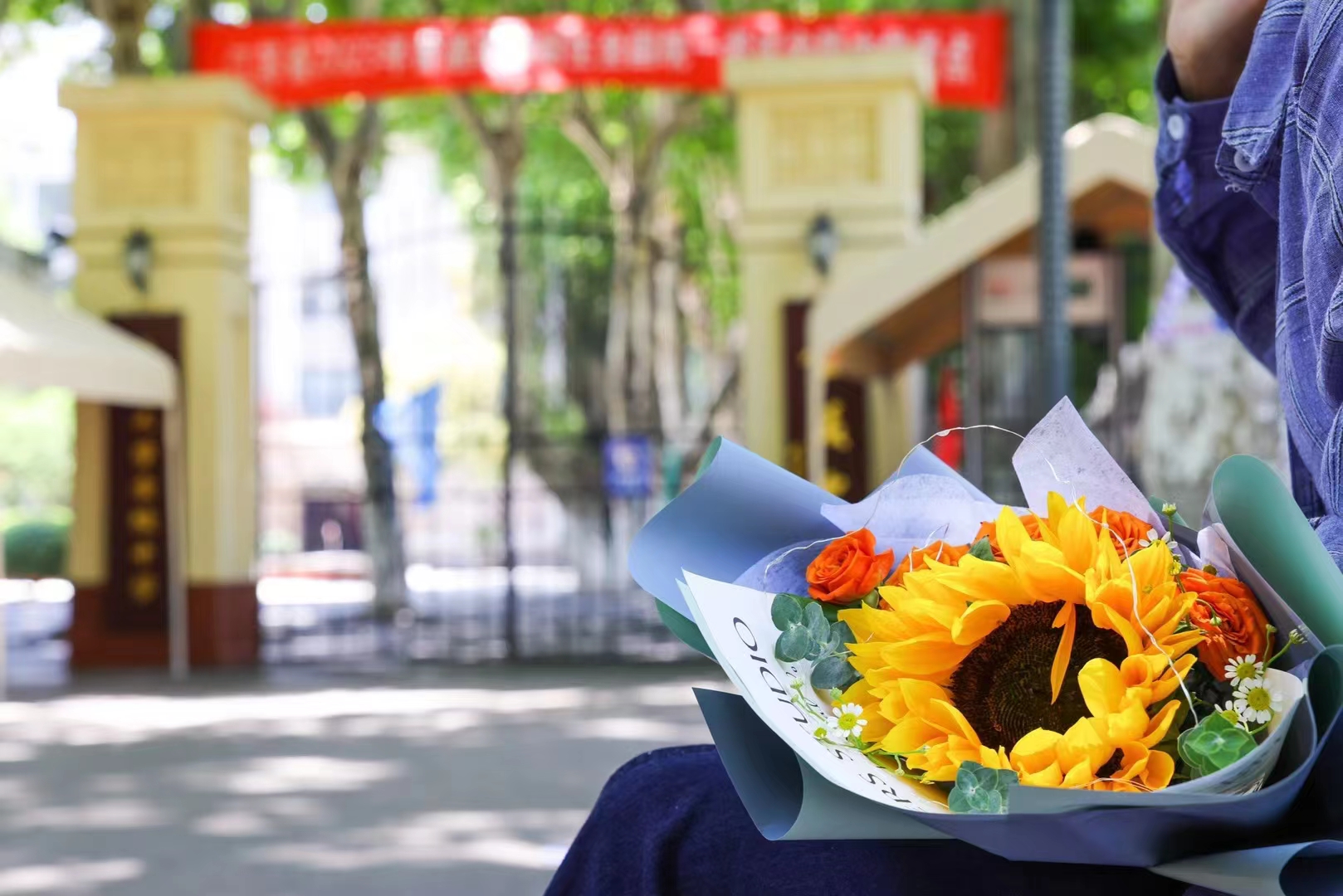 �Ͼ�������ý������ ����/��