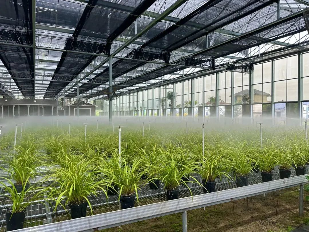 �㽭ʡ�����п������������馴��������ֲ���ء����� ��