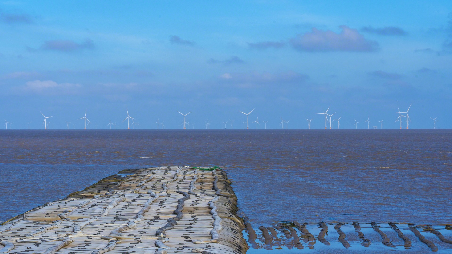 �������� �⿡ ��