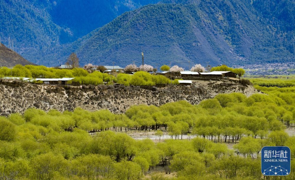 �������ʪ�ع�԰һ�ǣ�4��7���㣩���»������ ���� ��