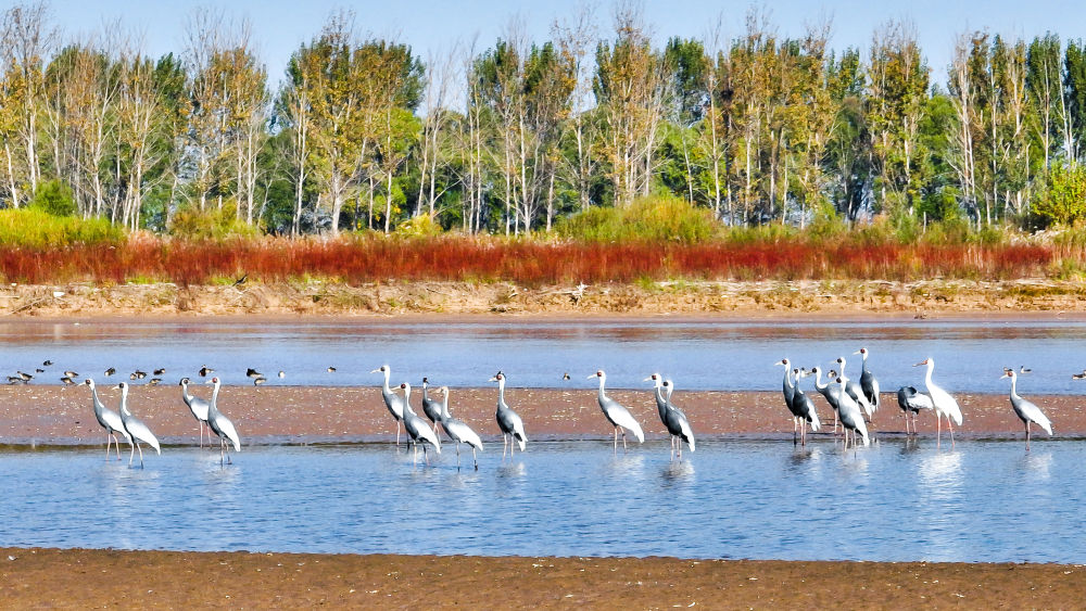 ��ɽ���ƺ������޹��Ҽ���Ȼ����������İ����ף�2022��10��18���㣩���»��緢����� �㣩