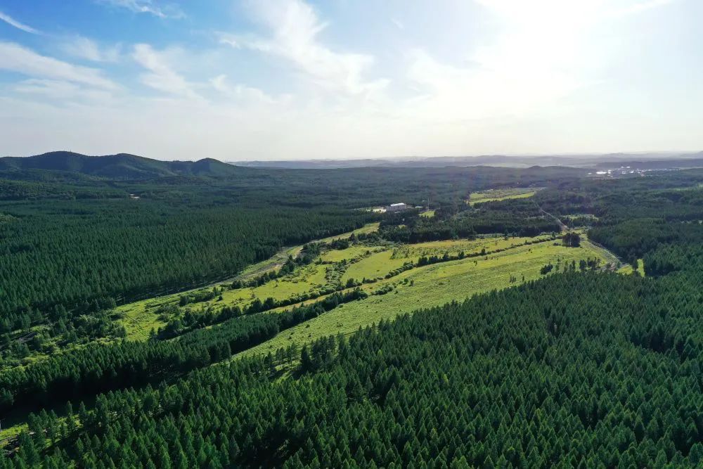 ���ӱ������ӻ�е�ֳ����