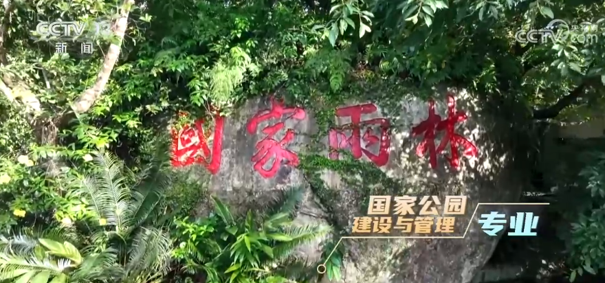 ����һ�꿪ѧ�� ��8000������רҵ��¼ ��δ����չ