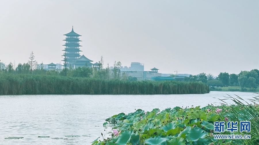 扬州运河三湾生态文化公园。新华网资料图