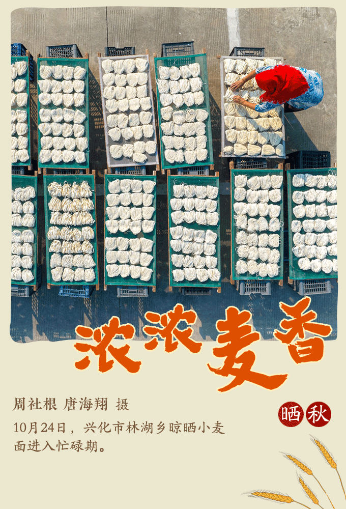 近年来,林湖乡大力实施“农产品+合作社+品牌”发展模式,带动村民增收致富,助推乡村振兴。 近年来,林湖乡大力实施“农产品+合作社+品牌”发展模式,带动村民增收致富,助推乡村振兴。
