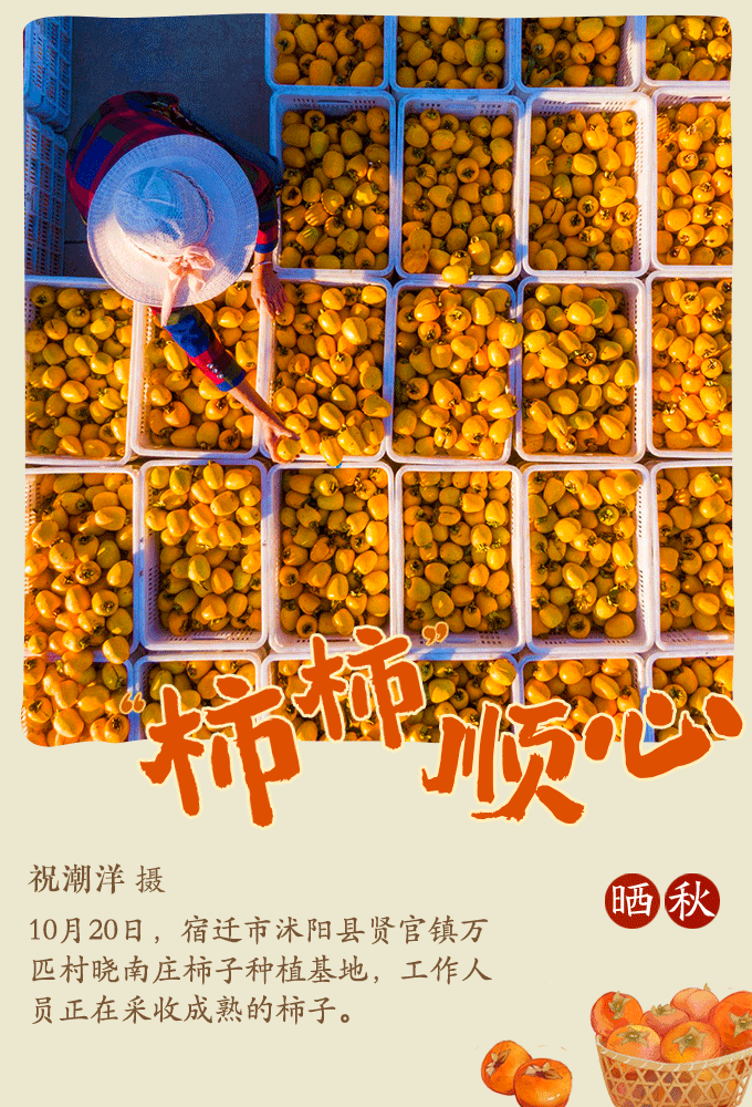 近年来,沭阳县贤官镇采取“党建+合作社+劳动力”等模式,着力发展水果种植、板材加工等特色农业产业,助力农民增收和乡村振兴。 近年来,沭阳县贤官镇采取“党建+合作社+劳动力”等模式,着力发展水果种植、板材加工等特色农业产业,助力农民增收和乡村振兴。