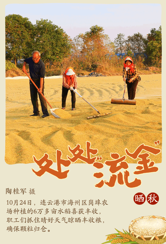 江苏省岗埠农场有限公司是江苏农垦大型国有农场之一、江苏省农业产业化重点龙头企业。 江苏省岗埠农场有限公司是江苏农垦大型国有农场之一、江苏省农业产业化重点龙头企业。