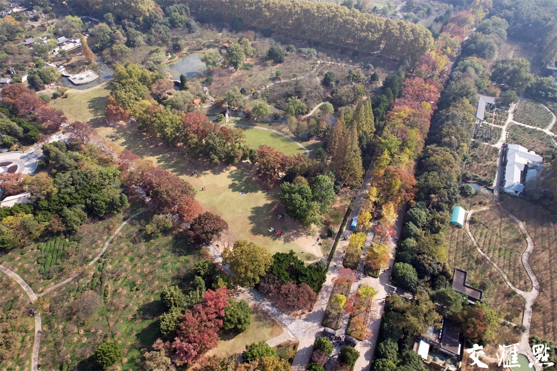 2023年11月3日，深秋的南京石象路“最美600米”斑斓上线，空中俯瞰、置身其中都宛若画卷，各色的树叶交织在一起，五彩斑斓，美不胜收！吸引众多游客前来打卡和欣赏。新华日报·交汇点记者 宋宁/摄