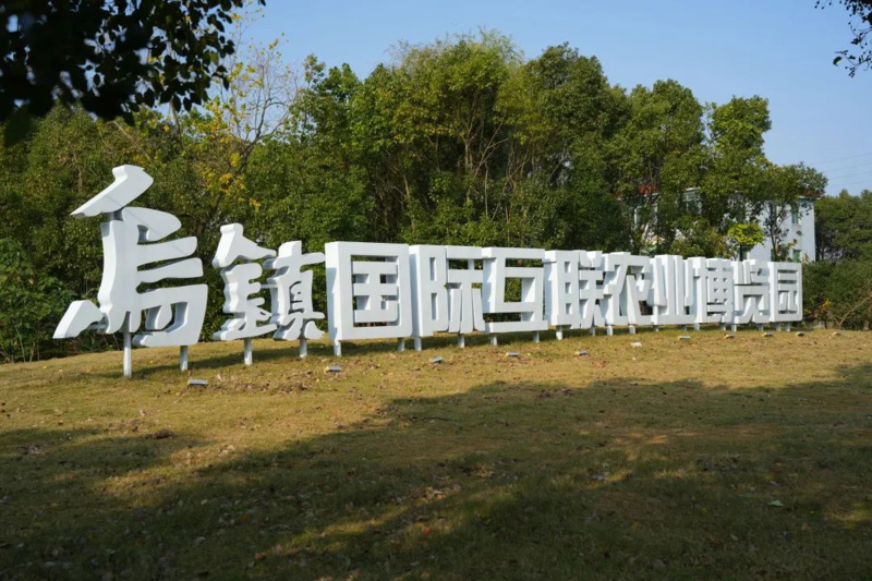 113991566953501.jpg