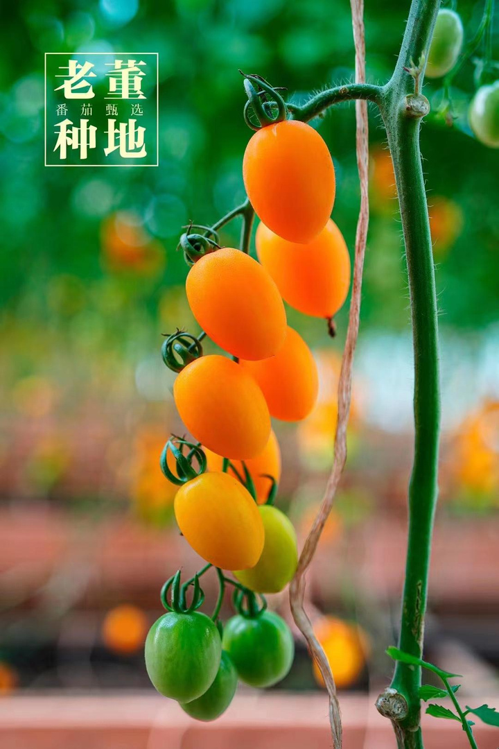 微信图片_20231103165531.jpg