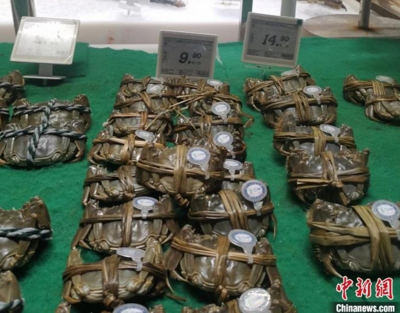 1700091441593575.png?x-oss-process=style/w10 image.png?x-oss-process=style/w10