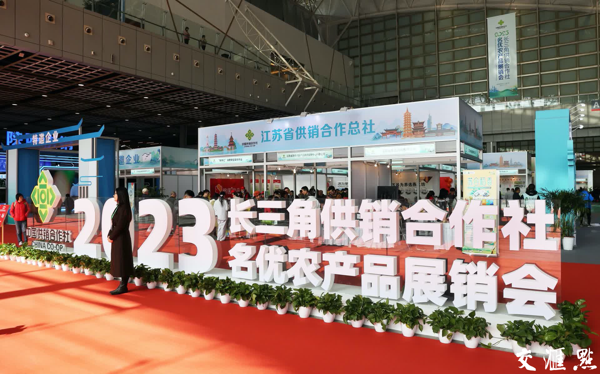 2023年11月17日，2023长三角供销合作社名优农产品展销会在南京国际展览中心举行，来自江浙沪皖等10多个省市区、近500家供销合作社系统和农业企业参展，展出优质农产品超5000种，集合了南京盐水鸭、苏州阳澄湖大闸蟹、无锡三凤桥排骨、徐州捆蹄、淮安盱眙龙虾、杭州西湖龙井、金华火腿、上海“唯加”牌系列调味品、丁义兴枫泾丁蹄、安徽名茶、臭鳜鱼、陕西洛川苹果等极具代表性的特色农产品，更有丰富的国家地理标志产品、知名品牌老字号参展。新华日报·交汇点记者 宋宁摄