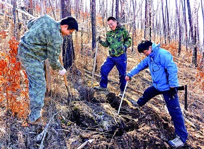 科学保护,守护大兴安岭这片绿色