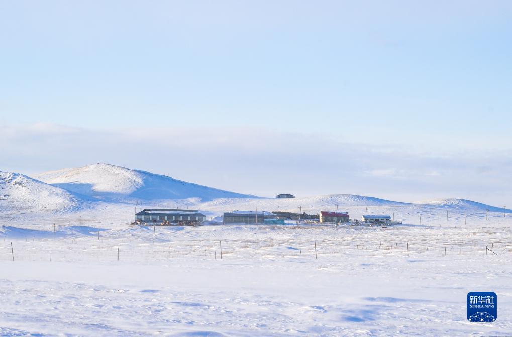 　　11月16日，大风卷起雪粒在乌珠穆沁草原上漫天飞舞。
　　一场降雪过后，位于内蒙古锡林郭勒盟西乌珠穆沁旗的乌珠穆沁草原到处白雪皑皑、银装素裹，呈现出别样的动人景观。新华社记者 彭源 摄