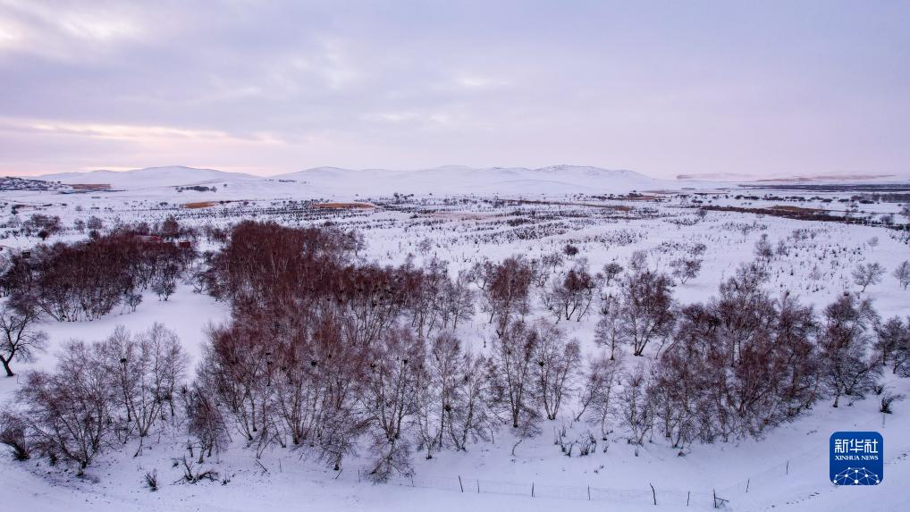 乌蒙大草原雪景图片