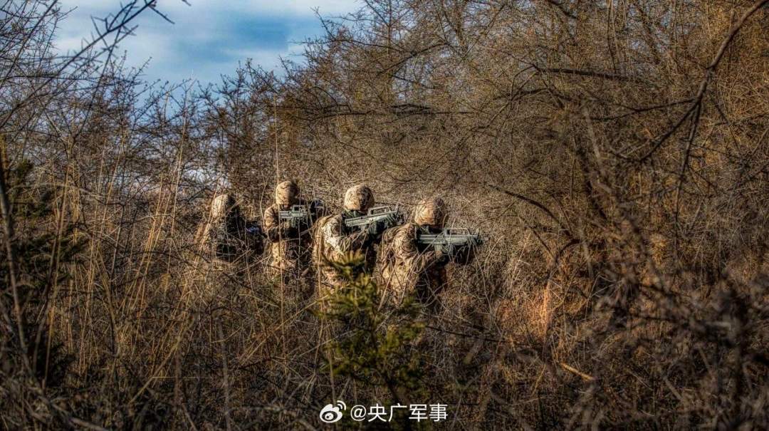 帅武警特战队员密林深处训练大片