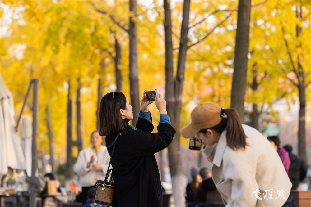 11月28日，南京银杏里文化艺术街区的银杏进入最佳观赏期。叶片铺满路面，像一条金色长廊，游客徜徉其中，仿佛坠入了金色的童话世界。新华日报·交汇点记者 蒋文超 摄