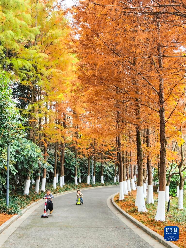 12月3日，小朋友在贵州省遵义市新蒲新区湿地公园玩耍。