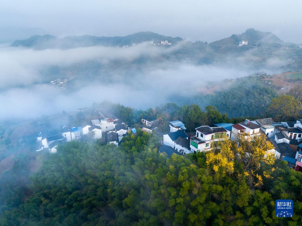 这是12月5日在安徽省黄山市歙县杞梓里镇坡山村拍摄的景色（无人机照片）。