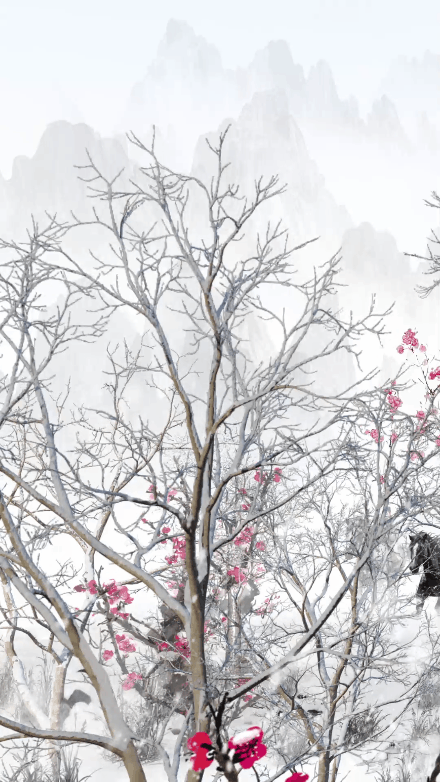 人间好时节丨大雪:踏雪寻梅 仗剑起舞