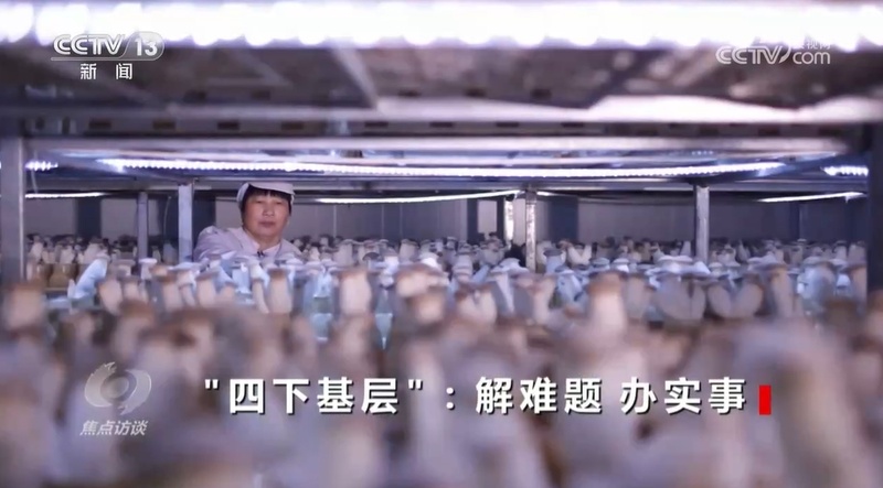 焦点访谈|“四下基层”:解难题 办实事