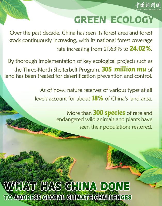 In Numbers: What has China done to address global climate challenges ...