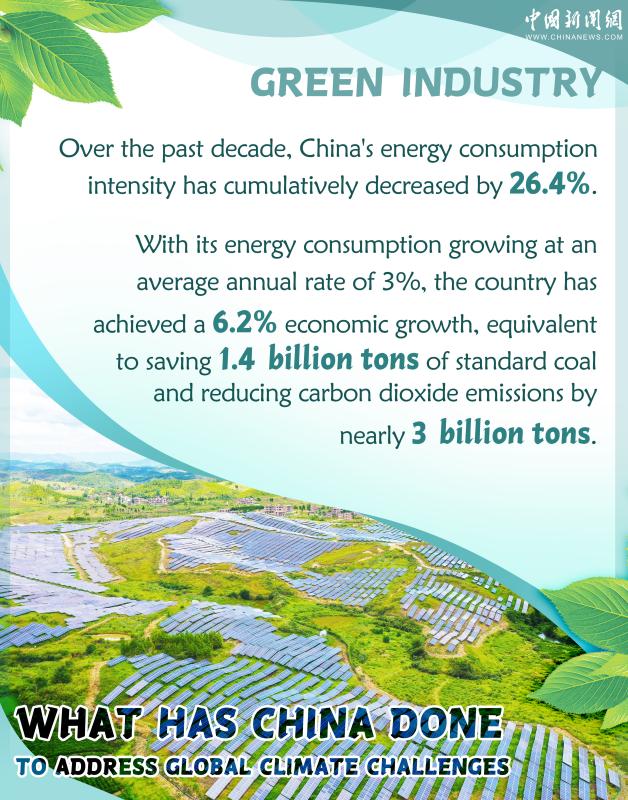 In Numbers: What has China done to address global climate challenges ...