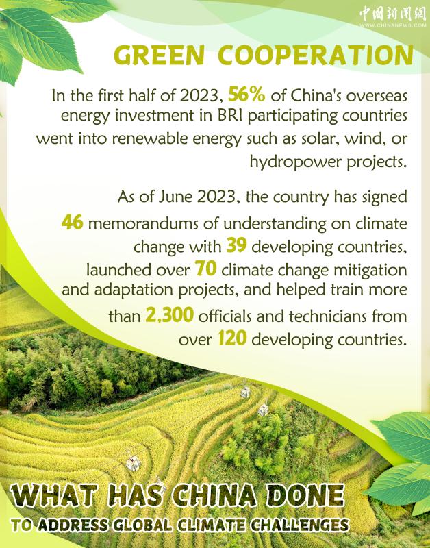 In Numbers: What has China done to address global climate challenges ...