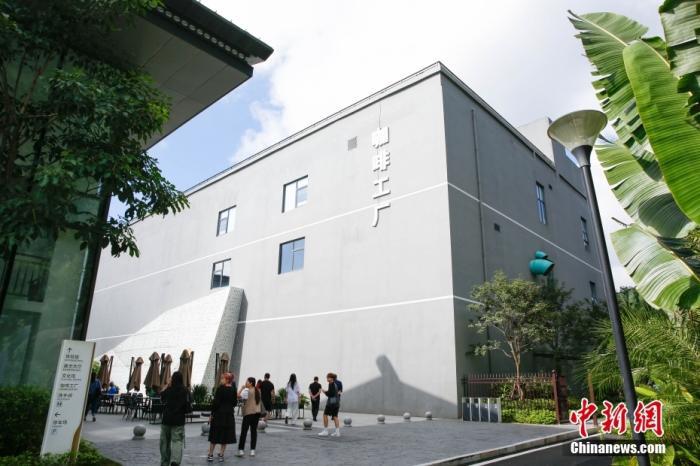 图为采访团一行参观咖啡工厂。 曹淼欣 摄 图为采访团一行参观咖啡工厂。 曹淼欣 摄