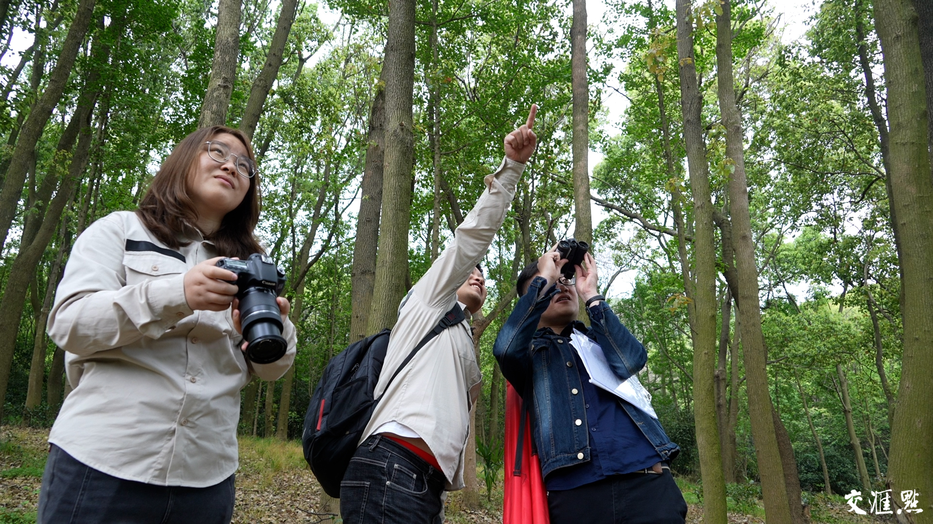 记者同生态调查工程师一起进行鸟类观测