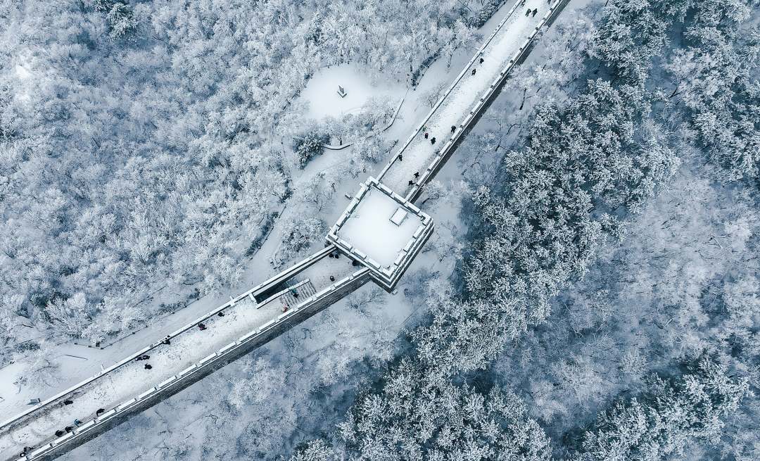 7.jpeg?x-oss-process=style/w10