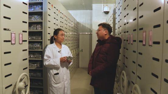 研究员向记者介绍江苏省农作物种质资源中期库的情况