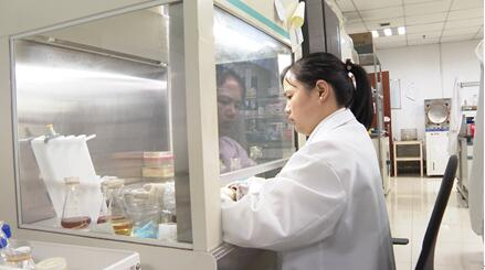 研究员进行种质鉴定实验