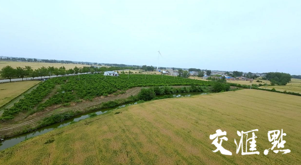 王良桃园家庭农场