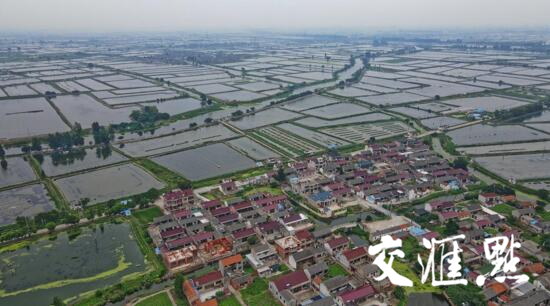 兴化市海南镇新伍村