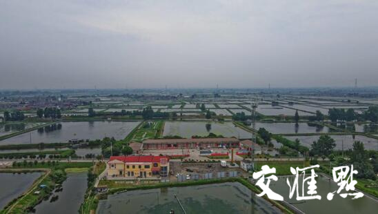 新伍村新村部(红房顶)与旧村部改造来的新伍龙虾交易市场