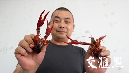 新伍村龙虾