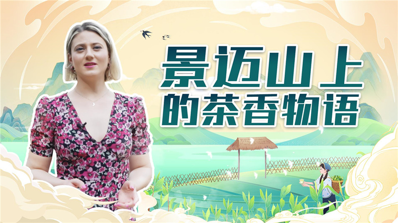 中国纪行 感受活力|景迈山上的茶香物语_fororder_0f48c50fc2604c599021ebe87197c15d