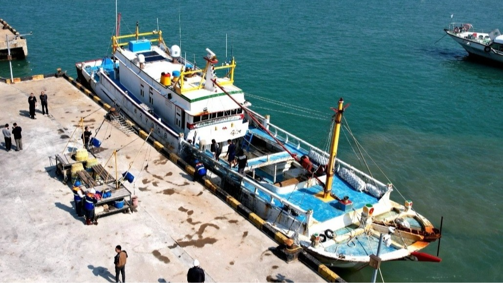 臺灣地區石斑魚恢復輸入 首批活魚運抵福建東山港央視新聞客戶端01/11