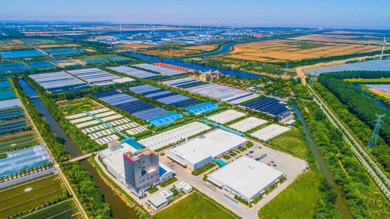 图片来源:中洋集团 图片来源:中洋集团