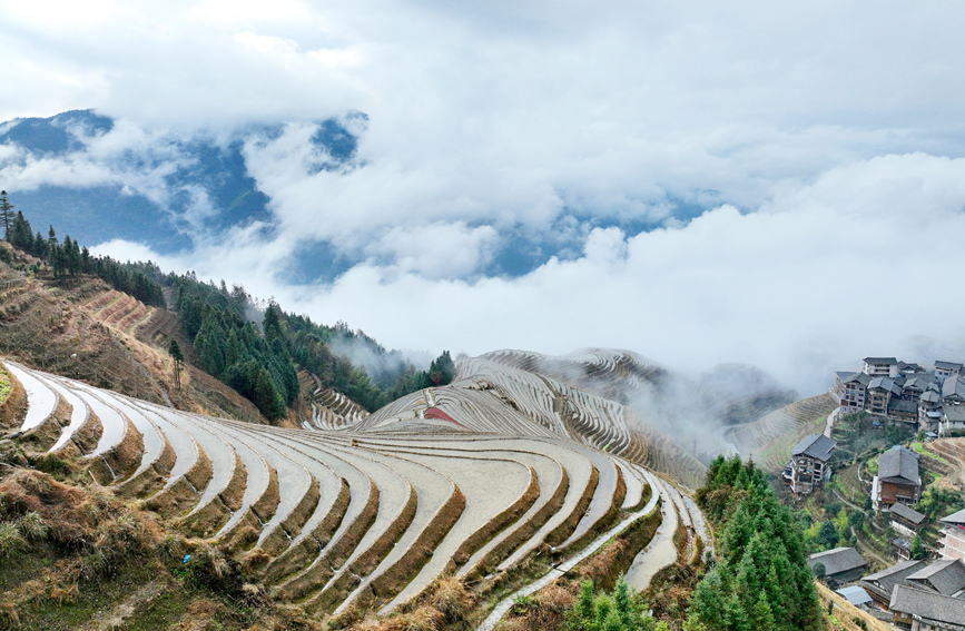 近日，广西桂林市龙胜各族自治县龙脊梯田出现雨后云雾景观，极目远眺，远山如黛，梯田如玉，层层叠叠的梯田和错落有致的吊脚楼在云海间若隐若现，仿佛一幅唯美的人间仙境山水画，美不胜收。
陈燕、潘志祥、何利民 摄影报道