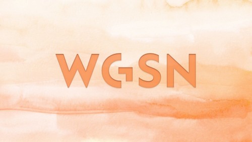 国际趋势预测机构wgsn2024未来十三大趋势发布