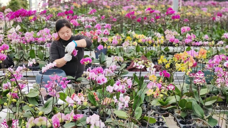 图片来源:沭阳发布 图片来源:沭阳发布