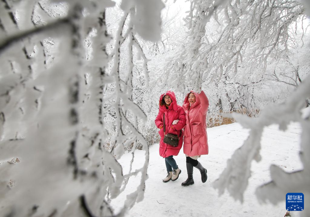 1月21日，江苏省连云港市海上云台山风景区出现雾凇景观，吸引众多游人前来观赏。